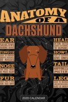 Anatomy Of A Dachshund: Dachshund 2020 Calendar - Customized Gift For Dachshund Dog Owner 1679698338 Book Cover