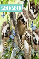 2020: Planer mit Faultier Soft Cover f�r 2020 / mit Adressbuch im hinteren Teil des Planers 1673950949 Book Cover