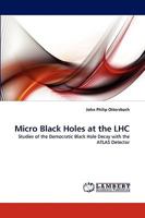 Micro Black Holes at the Lhc 3838372735 Book Cover
