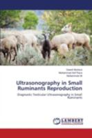Ultrasonography in Small Ruminants Reproduction: Diagnostic Testicular Ultrasonography in Small Ruminants 3659532932 Book Cover