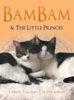 Bambam & the Little Princes: A Mostly True Story 148089110X Book Cover