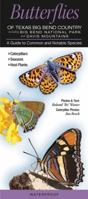 Butterflies of Texas Big Bend Country Incl. Big Bend National Park & Davis Mtns.: A Guide to Common & Notable Species 0982621124 Book Cover