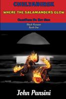Chelyabinsk : Where the Salamanders Glow Crawdads Do Not Sing 1735187356 Book Cover