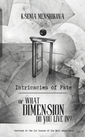 Intricacies of Fate: or What Dimension Do You Live In? B0B7QBGP2R Book Cover