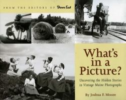 What's in a Picture?: Broiler Queens, Floating House and Other Hidden Stories in Vintage Maine Photography 0892727780 Book Cover