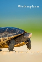 Wochenplaner: A5 6x9 Tagebuch I Wochenkalender I Jahresplaner I Jahreskalender I Terminplaner I f�r M�nner und Frauen, M�dchen und Jungen Wochenplaner A5 1 Woche 2 Seiten 1697340725 Book Cover