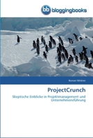 ProjectCrunch: Skeptische Einblicke in Projektmanagement und Unternehmensführung 3841771165 Book Cover