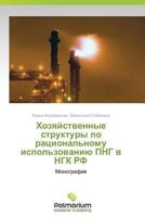 Khozyaystvennye Struktury Po Ratsional'nomu Ispol'zovaniyu PNG V Ngk RF 3847393863 Book Cover