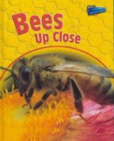Bees Up Close (Minibeasts Up Close) 1410911454 Book Cover