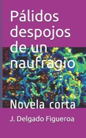 P�lidos despojos de un naufragio: Novela corta 1710102128 Book Cover