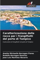 Caratterizzazione delle rocce per i frangiflutti del porto di Tampico (Italian Edition) 6630010833 Book Cover