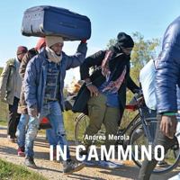 In cammino 1723015350 Book Cover