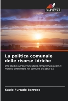 La politica comunale delle risorse idriche (Italian Edition) 6206590526 Book Cover