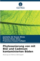 Phytosanierung von mit Blei und Cadmium kontaminierten Böden (German Edition) 6208519535 Book Cover