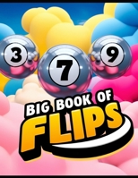 Cash-Pick-Daily 3 Big Book of Flips B0F1LT6JMC Book Cover