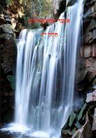 Otzar Hakuntreisim - A Treasure Chest of Hischazkus 1448634229 Book Cover