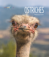 Ostriches B0GMYQPTXL Book Cover