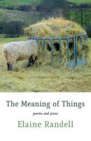 The Meaning of Things 1848615140 Book Cover