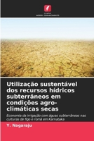Utilização sustentável dos recursos hídricos subterrâneos em condições agro-climáticas secas (Portuguese Edition) 6204235508 Book Cover