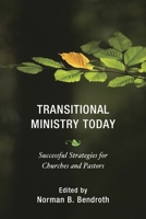 Interim Ministry Today: Pastor Transitions in a New Church Landscape 156699750X Book Cover
