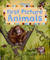 First Picture Animals (First Picture Board Books) 1409540464 Book Cover