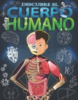 Descubre el cuerpo humano: Mira debajo de tu cuerpo libro para niños a partir de 5 años. B095PTMVS2 Book Cover