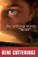 The Splitting Storm 0842386025 Book Cover