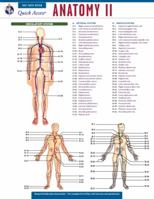 Anatomy 2 - REA's Quick Access Reference Chart (Quick Access Reference Charts) 0738607681 Book Cover