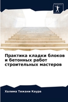 Практика кладки блоков и 6203543543 Book Cover
