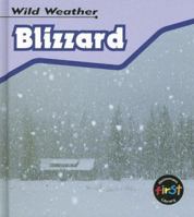 Wild Weather: Blizzard 1403401101 Book Cover
