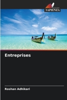 Entreprises (Italian Edition) 6207645065 Book Cover