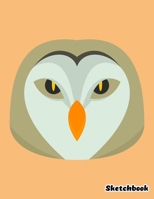 Sketchbook: Cute Barn Owl Sketchbook - 110 Pages 8.5"x11" Large Blank Sketchbook for Drawing, Doodling & Writing - Cute Sketch Book for Kids (Cute Animal Sketchbook Volume 13) 1672422957 Book Cover