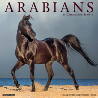 Arabians 2025 12 X 12 Wall Calendar 1549241419 Book Cover