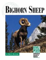 Endangered Animals and Habitats - Bighorn Sheep 1560068876 Book Cover