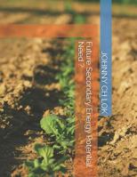 Future Secondary Energy Potential Need ? 1986631567 Book Cover