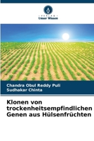 Klonen von trockenheitsempfindlichen Genen aus Hülsenfrüchten (German Edition) 6208571901 Book Cover