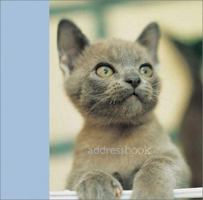 Kitten at Play 1841723010 Book Cover