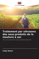 Traitement par ultrasons des sous-produits de la mouture à sec (French Edition) 620994597X Book Cover