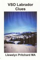 Vso Labrador Clues 1468021095 Book Cover