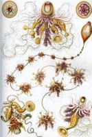 Haeckel scientific biological art notebook: Vintage Science Illustrations N°07 from "Kunstformen der Nature" / "Art forms in nature"; composition journal with 120 pages of blank dot grit paper 1796232475 Book Cover