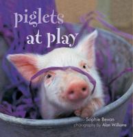 Piglets at Play 1841726141 Book Cover