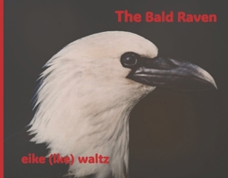 The Bald Raven B0DQBKMPT1 Book Cover
