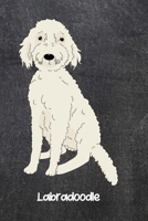 Labradoodle: Dogs Blank Lined Gift Journal Diary or Notebook, Hand Drawn Illustration, Wide Rule 1691330582 Book Cover