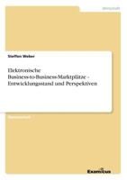 Elektronische Business-To-Business-Marktplatze 386746538X Book Cover