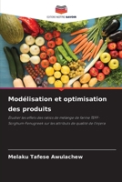 Modélisation et optimisation des produits 620577366X Book Cover