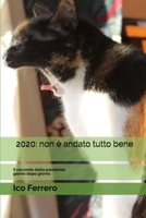 2020 non è andato tutto bene: Diario quotidiano della pandemia (Italian Edition) B08GFSK2J2 Book Cover