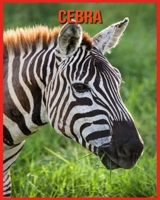 Cebra: Im�genes incre�bles y datos curiosos sobre los Cebra B08TQ4KCVW Book Cover