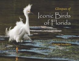 Iconic Birds of Florida 1626329885 Book Cover