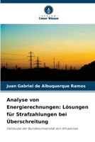 Analyse von Energierechnungen: Lösungen für Strafzahlungen bei Überschreitung (German Edition) 6208405173 Book Cover