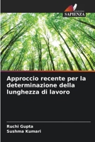 Approccio recente per la determinazione della lunghezza di lavoro 6205557533 Book Cover